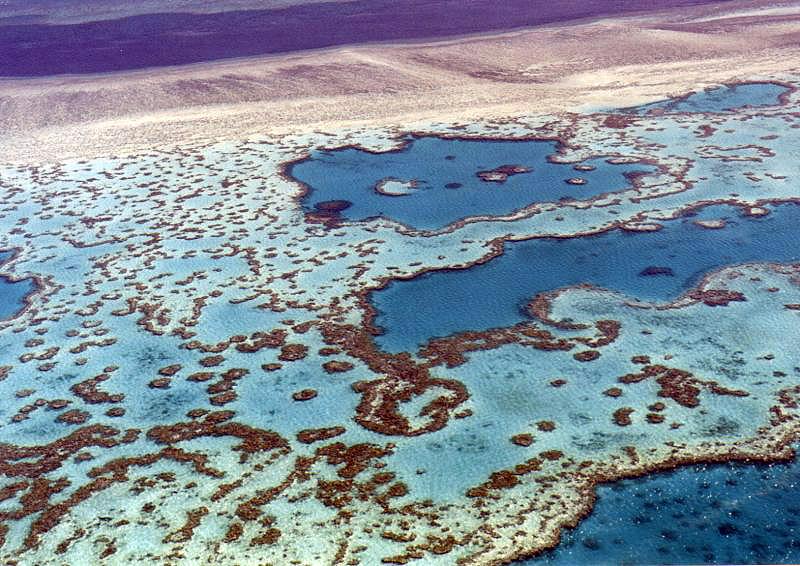 Great Barrier Reef 2001 Great Barrier Reef, Queensland